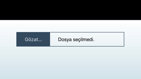 CSS ile dosya yükleme butonuna stil verme