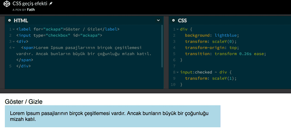 CSS geçiş efekti ile gizle/göster yaparken karşılaşılan sorunlar ve çözüm önerileri